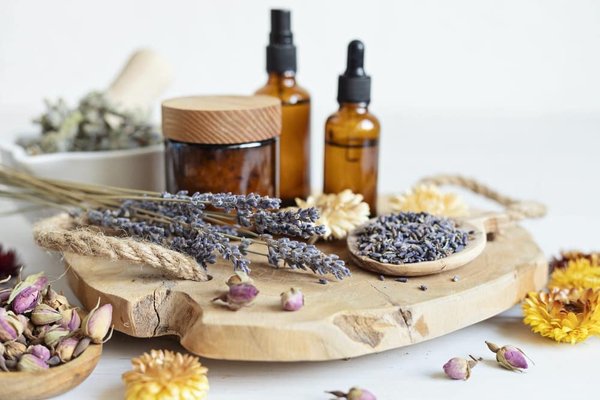 Les perspectives de carrière après la formation en naturopathie